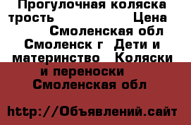 Прогулочная коляска-трость Jetem Picnic › Цена ­ 3 500 - Смоленская обл., Смоленск г. Дети и материнство » Коляски и переноски   . Смоленская обл.